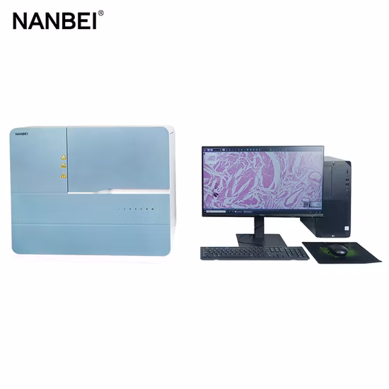 Wall Mount Automatic Smart Digital Thermometer Temperature Scanner