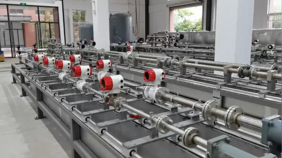 Safety Sanitary Electromagnetic Flow Meter 304 Body Material Food Grade 